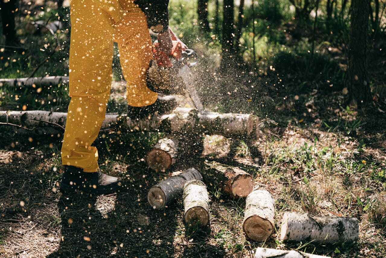 Emergency Storm Tree Removal in Green Valley, SD